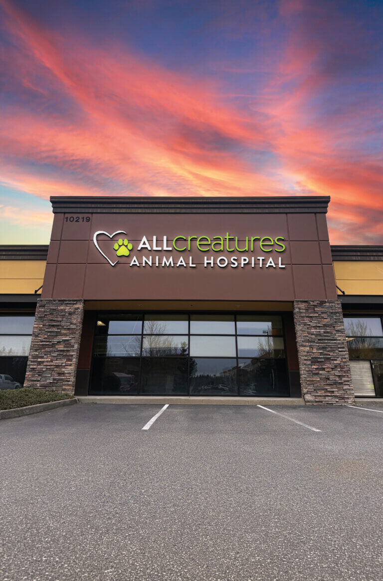 All Creatures We're Moving